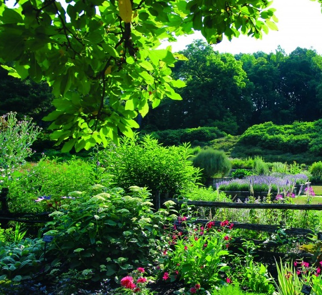 Cornell Botanical Gardens